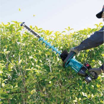 cortasetos axor rentals 3